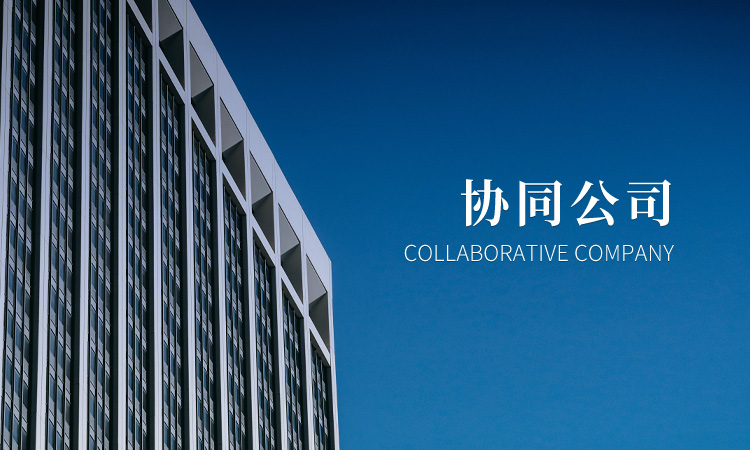 协同公司